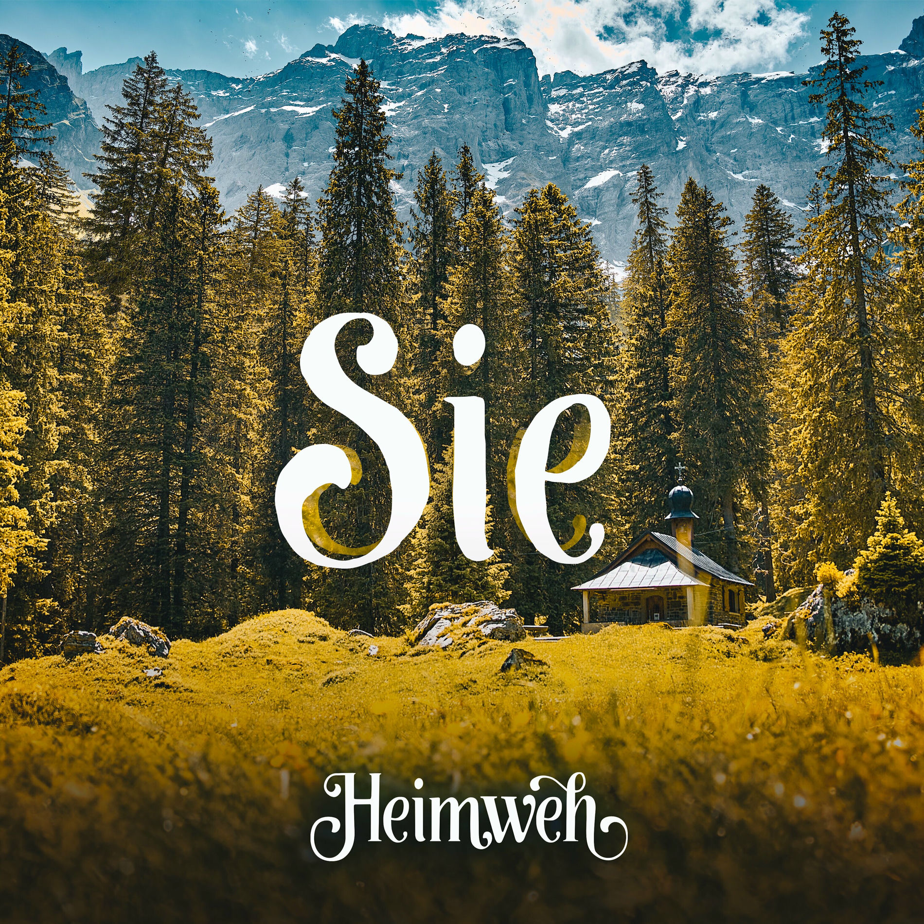 Album cover of Sie