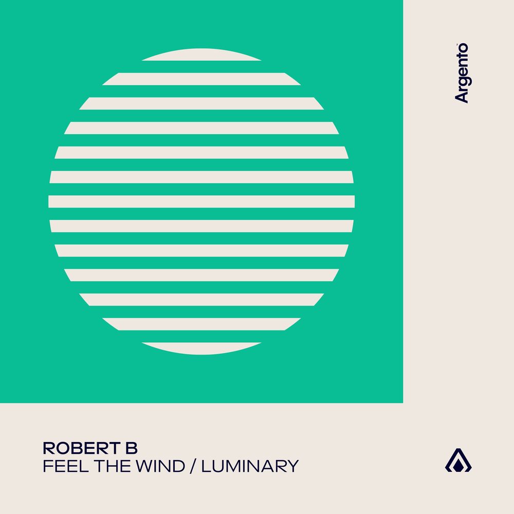 Picture of Feel The Wind / Luminary