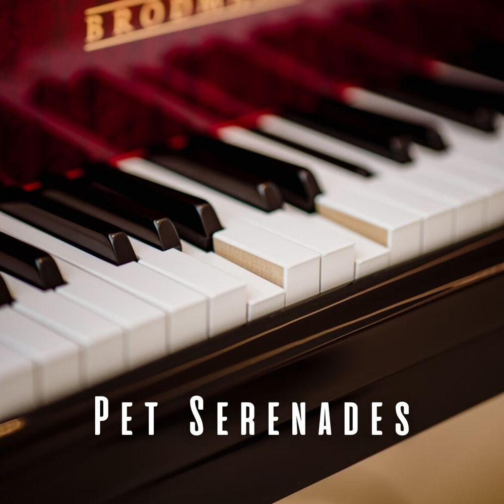 Picture of Pet Serenades: Piano Melodies