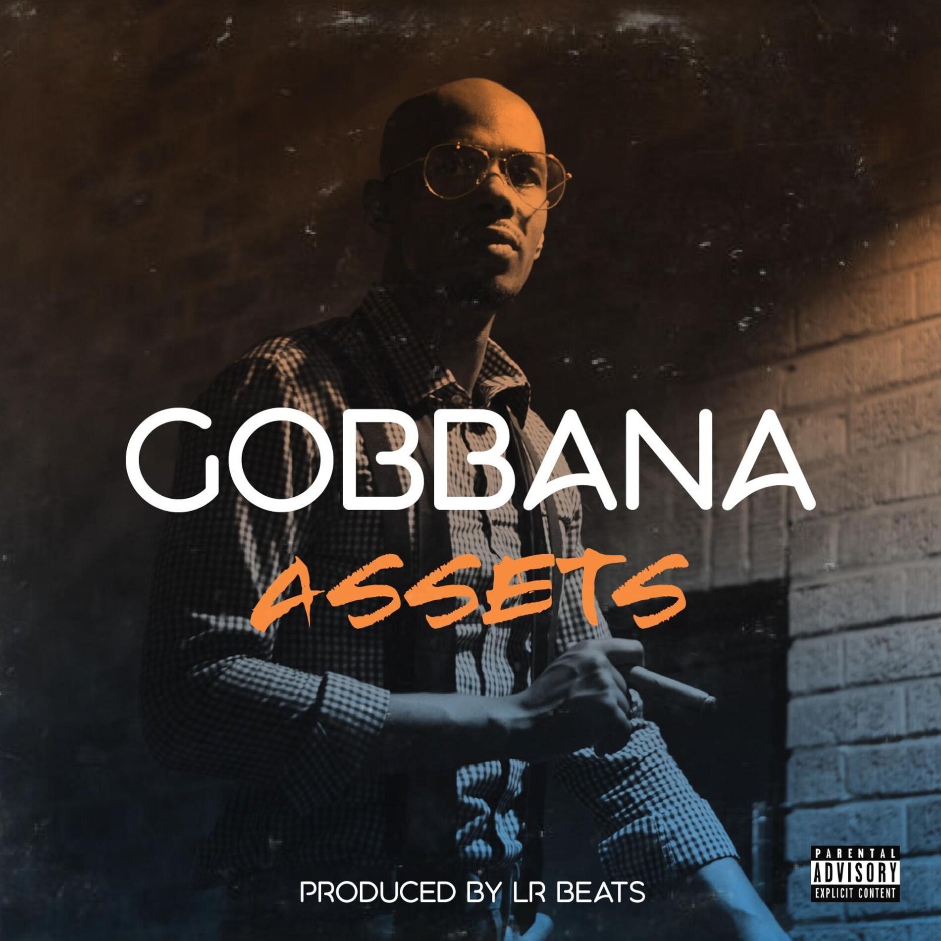 Album cover of Assets