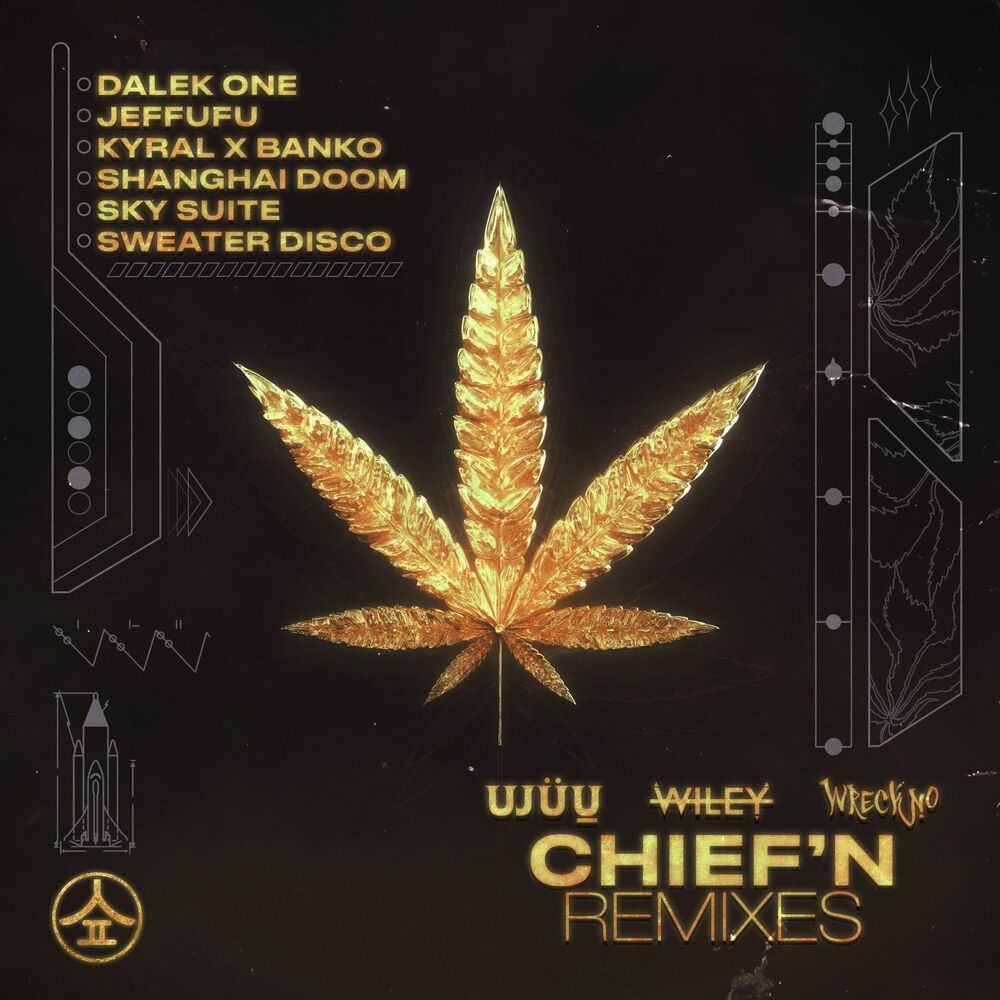 Picture of Chief'n (The Remixes)
