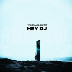 Cover of Hey DJ
