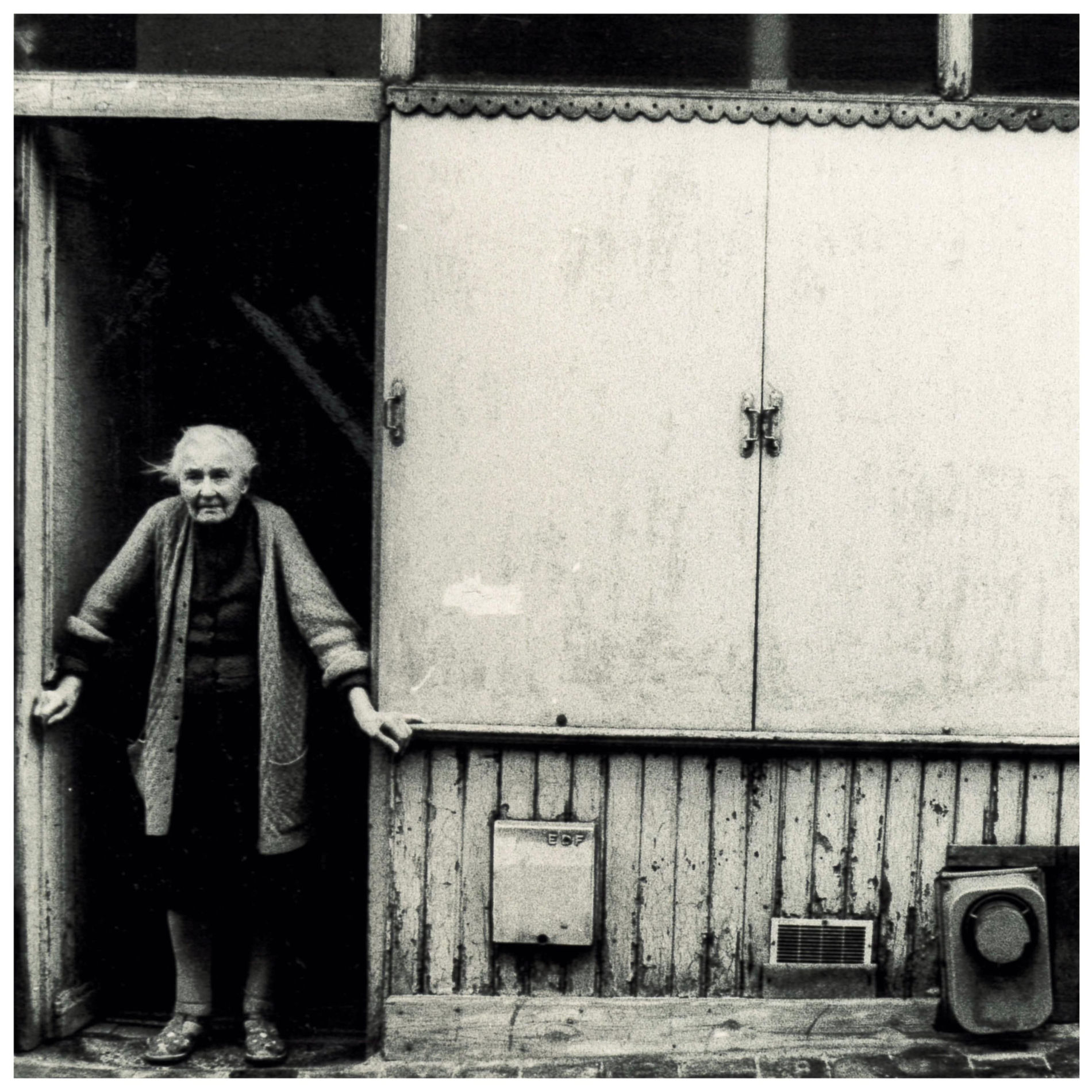 Album cover of Free at Loss