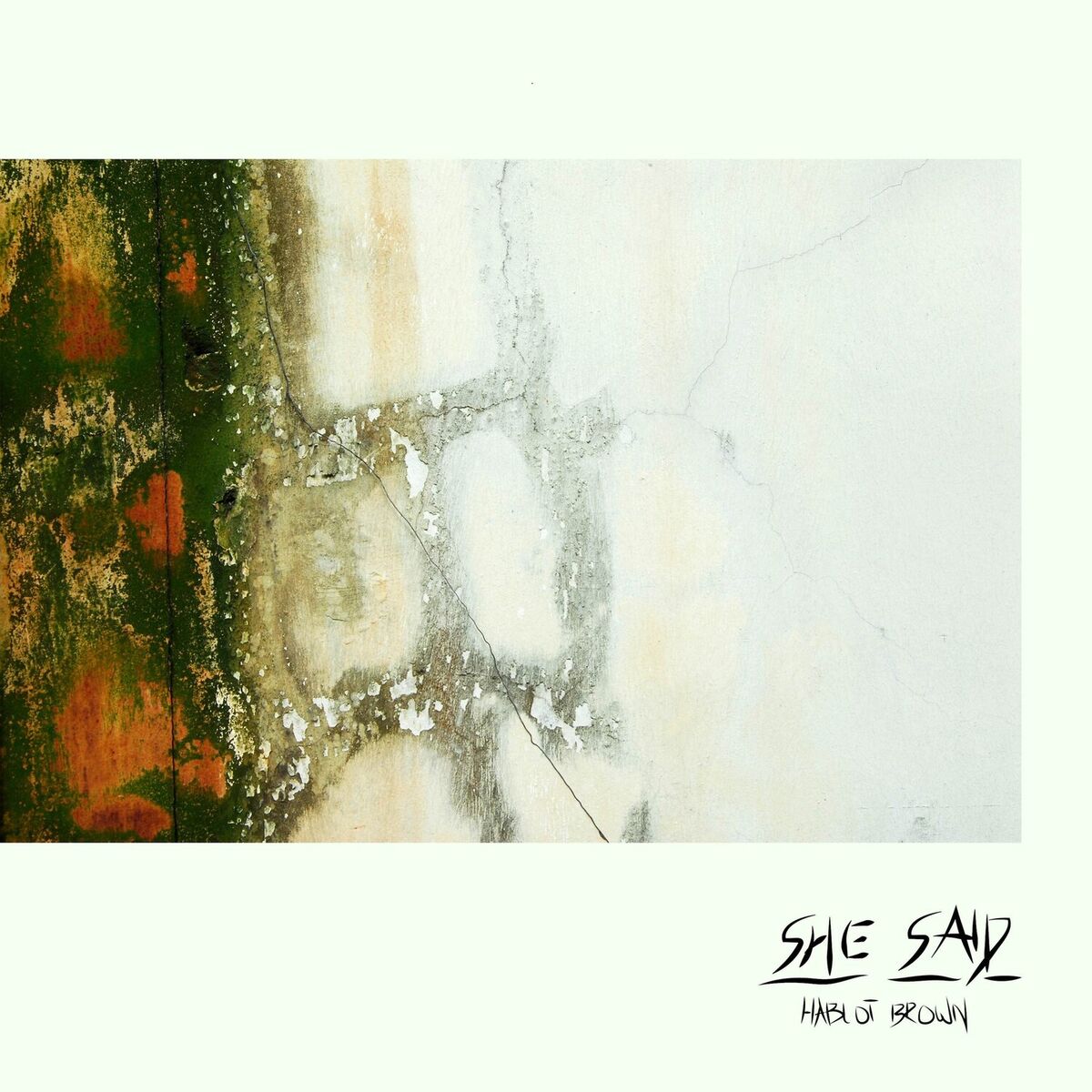 Album cover of She Said