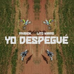 Cover of Yo Despegué
