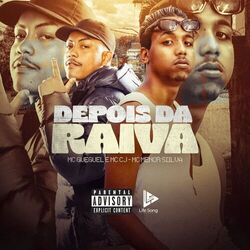 Cover of Depois da Raiva