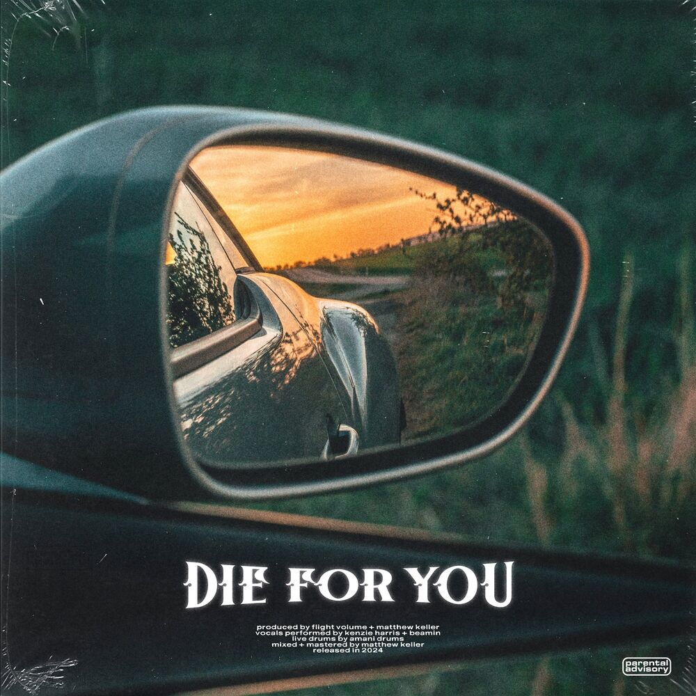 Picture of Die For You