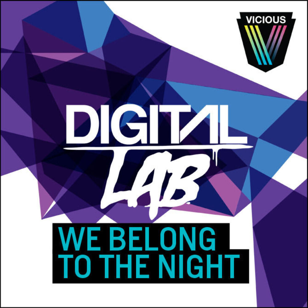 Picture of We Belong To The Night