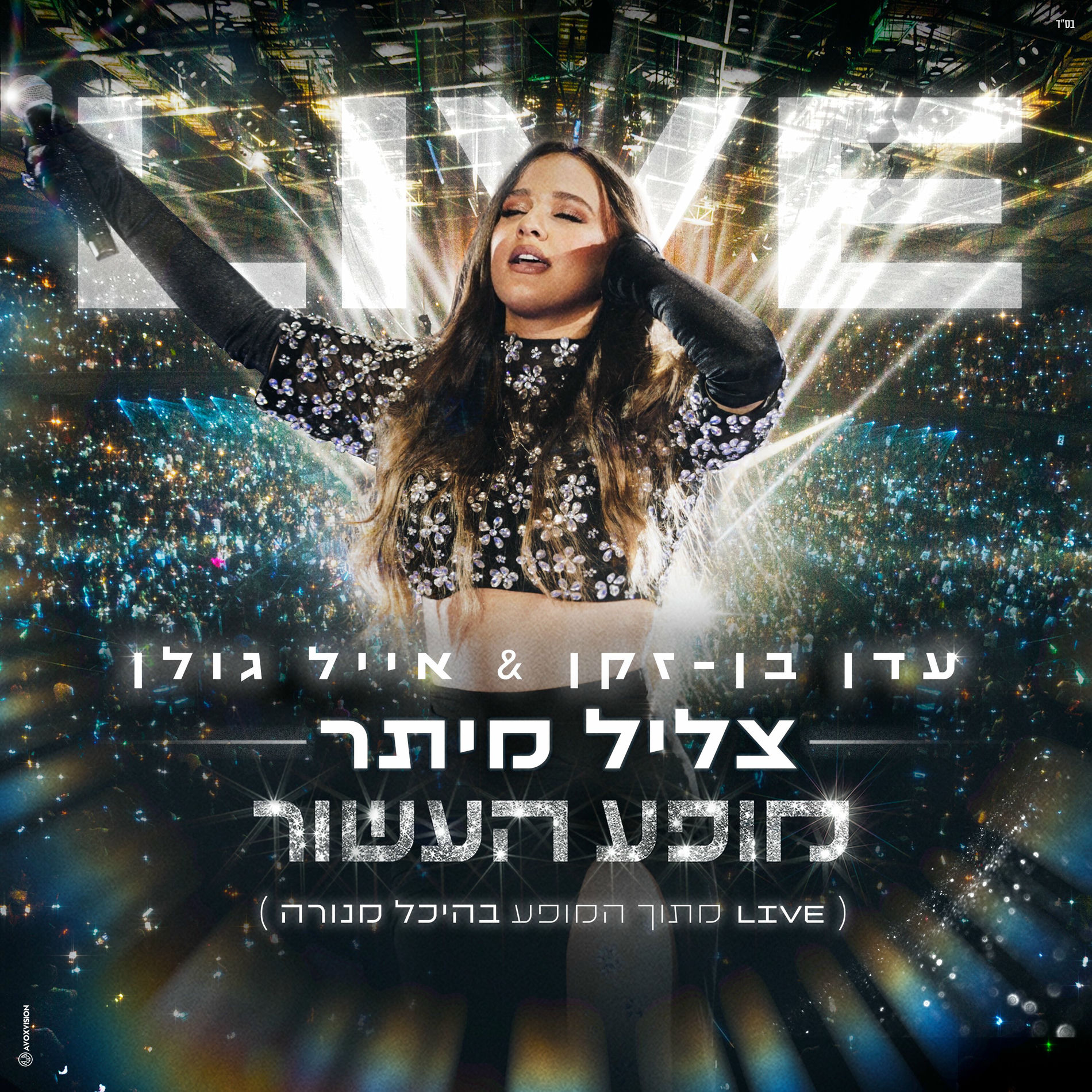 Album cover of צליל מיתר