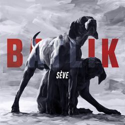 Cover of Sève