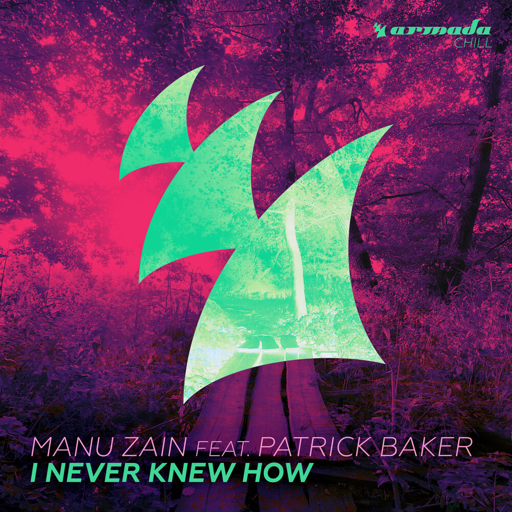 Picture of I Never Knew How