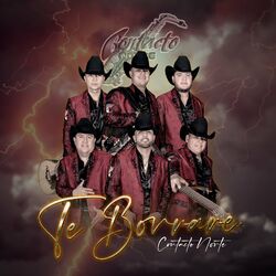 Cover of Te Borrare
