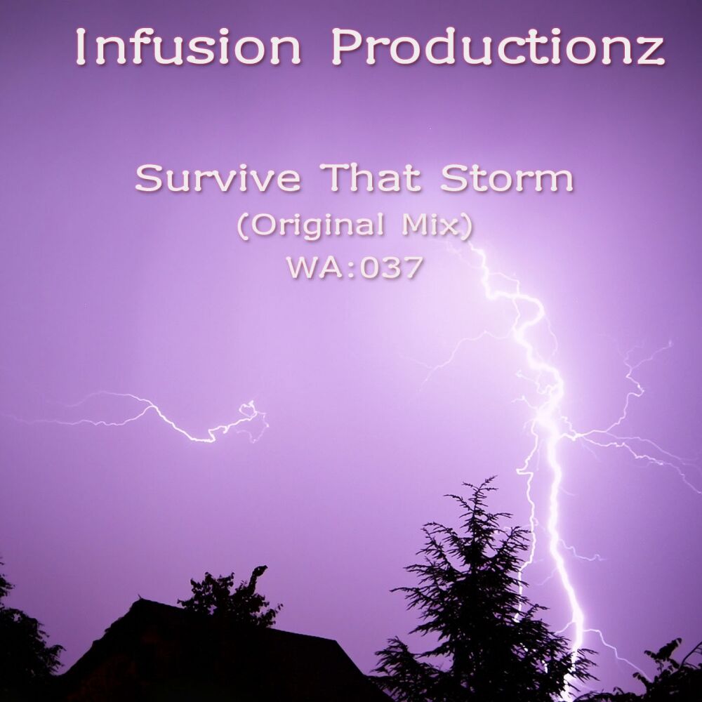 Picture of Survive That Storm