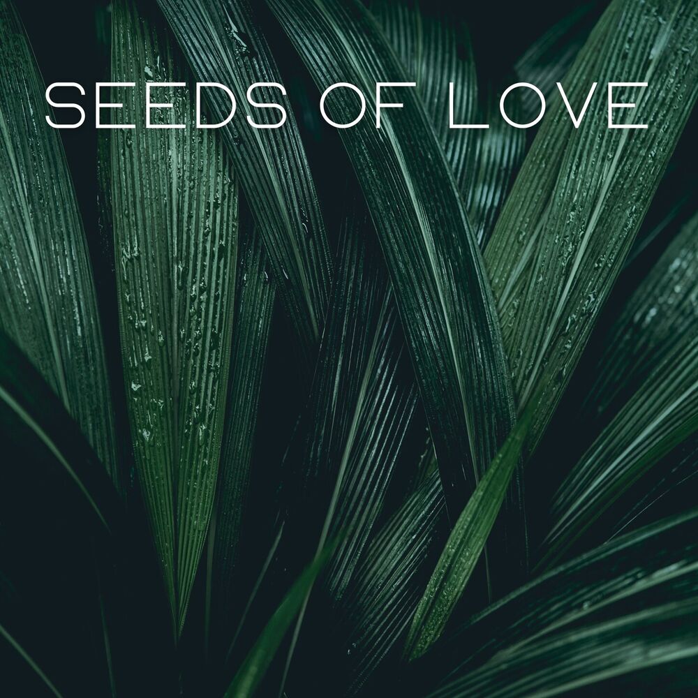 Picture of Seeds of Love
