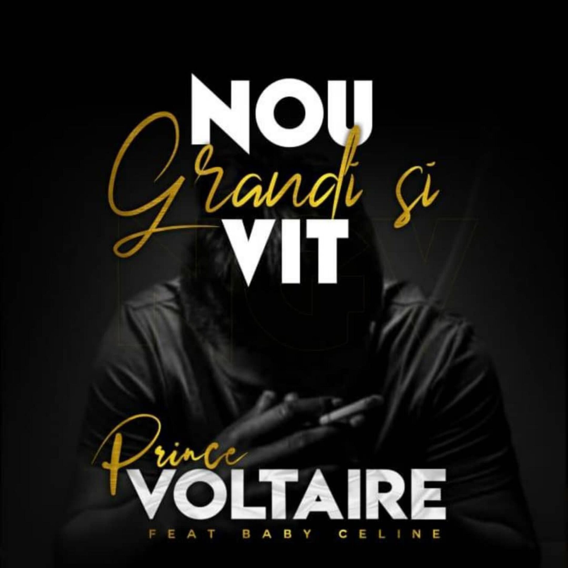 Album cover of Nou grandi si vit (feat. Celine)