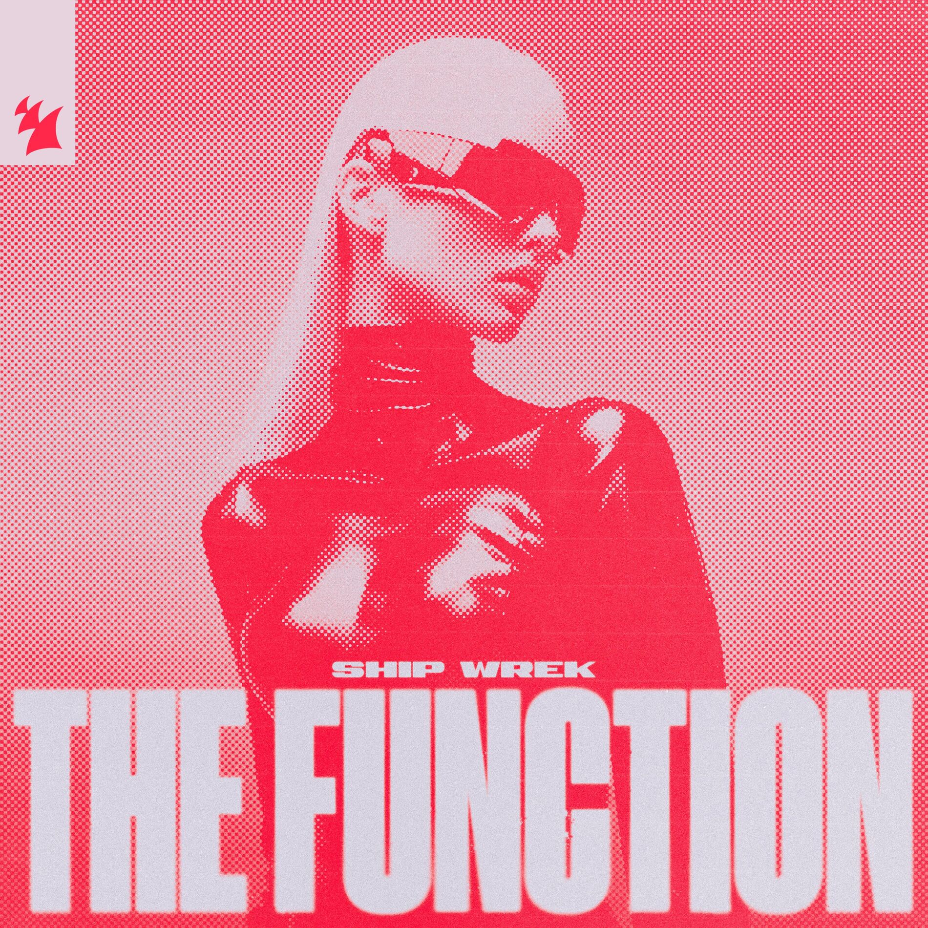 Album cover of The Function