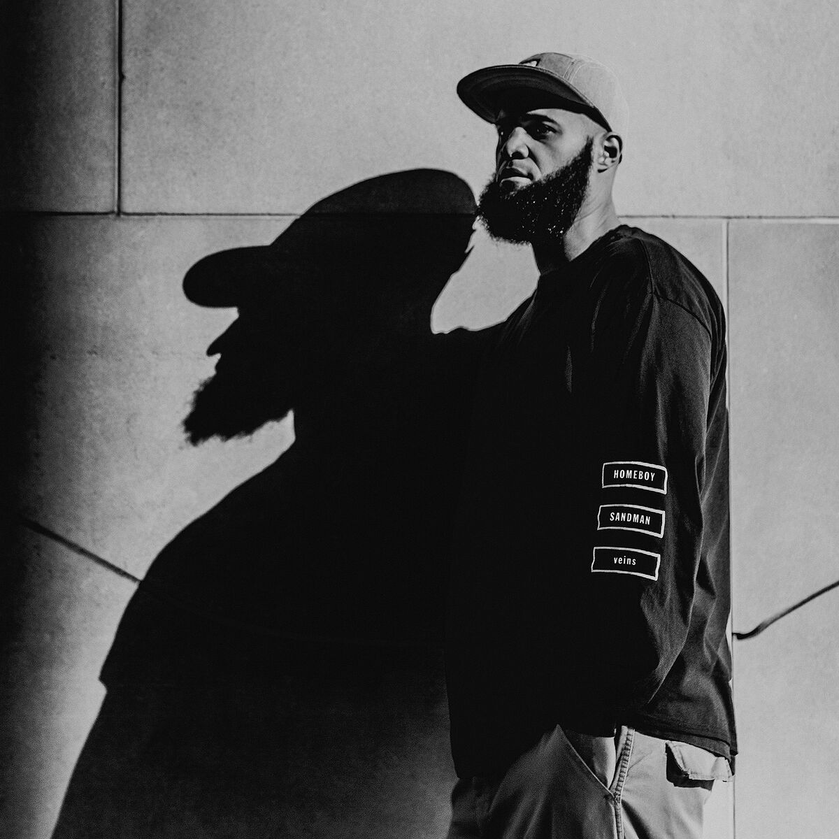 Album cover of Veins