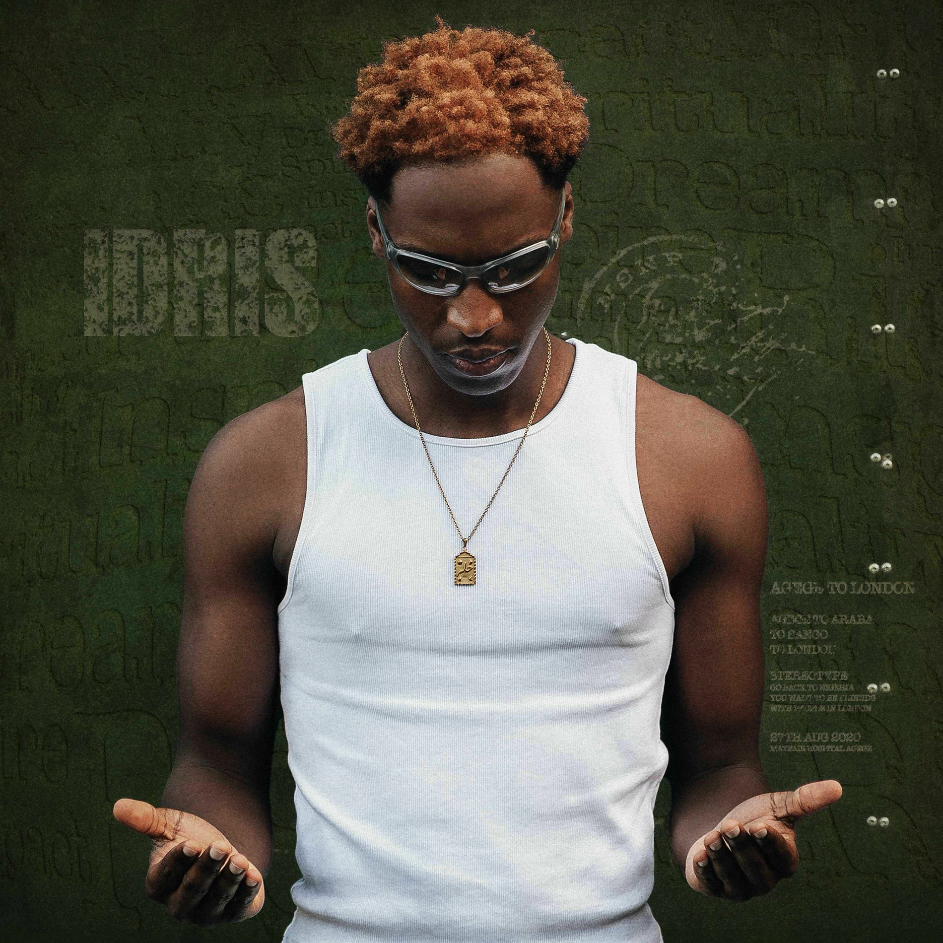 Album cover of I D R I S