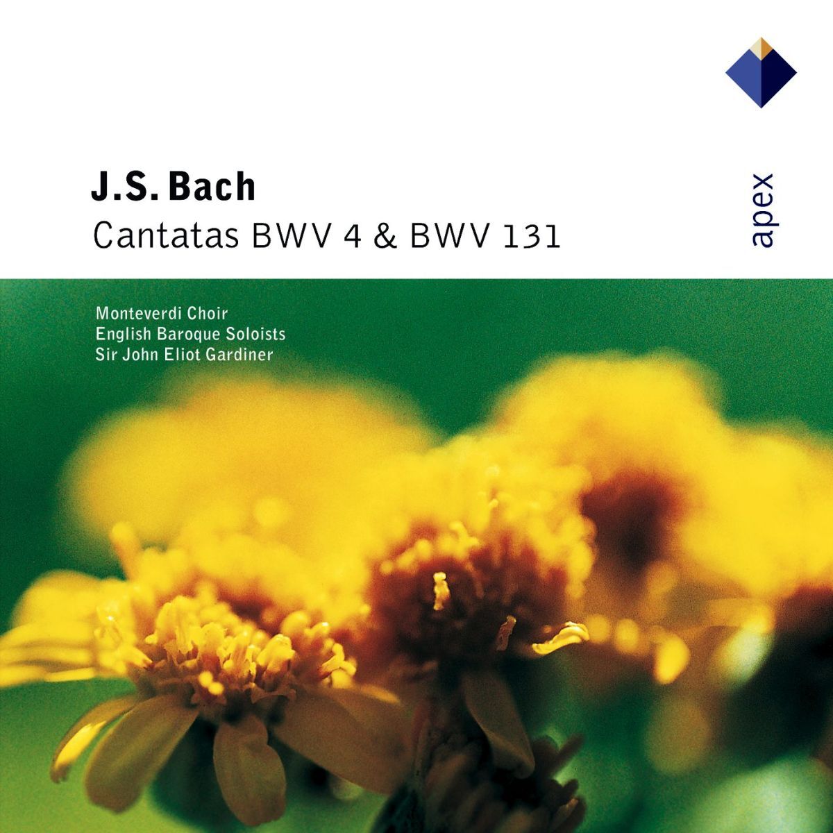 Album cover of Bach: Cantatas BWV 4 & 131