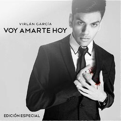 Cover of Voy Amarte Hoy (Edición Especial)
