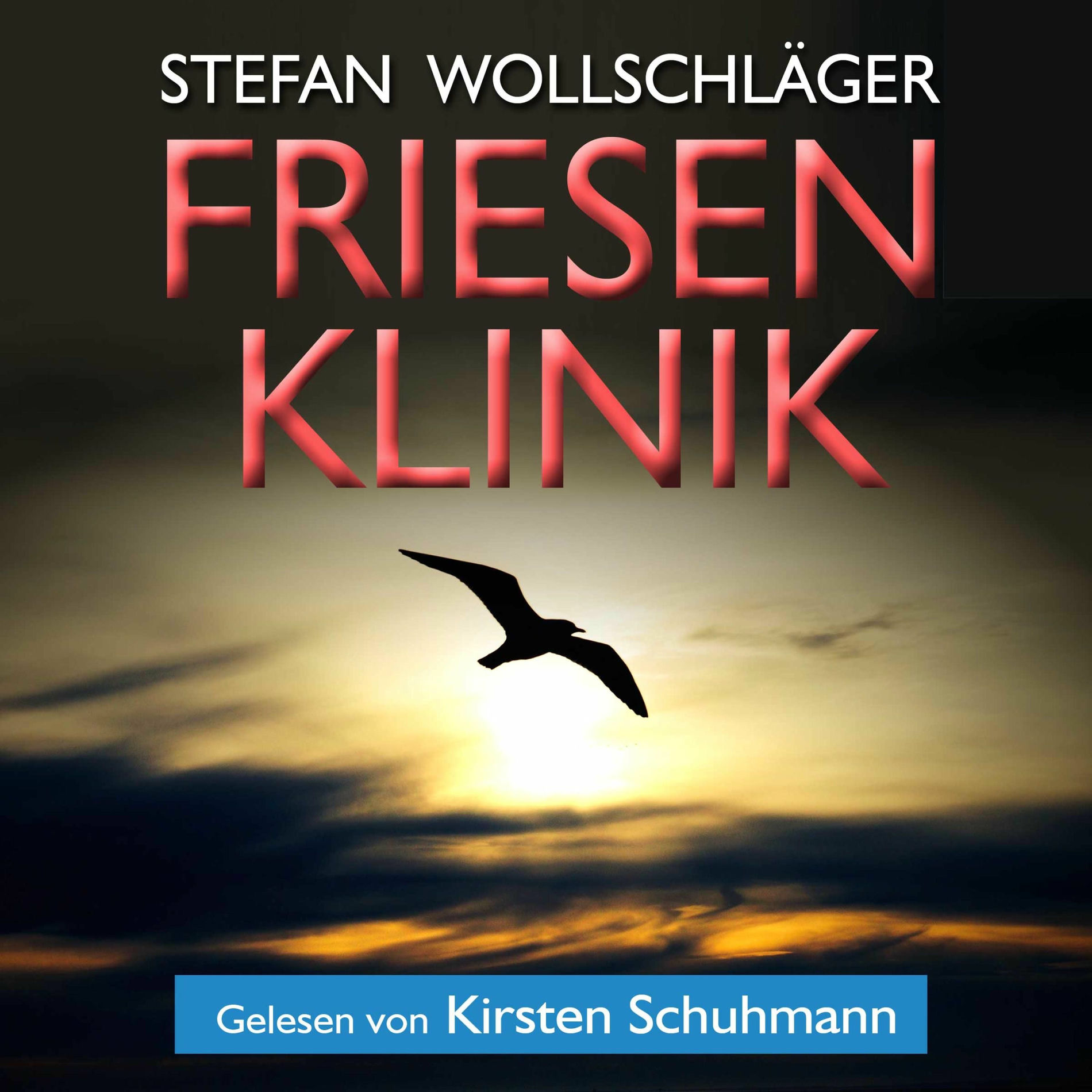 Album cover of Friesenklinik: Ostfriesen-Krimi
