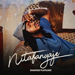 Cover of Nitafanyaje