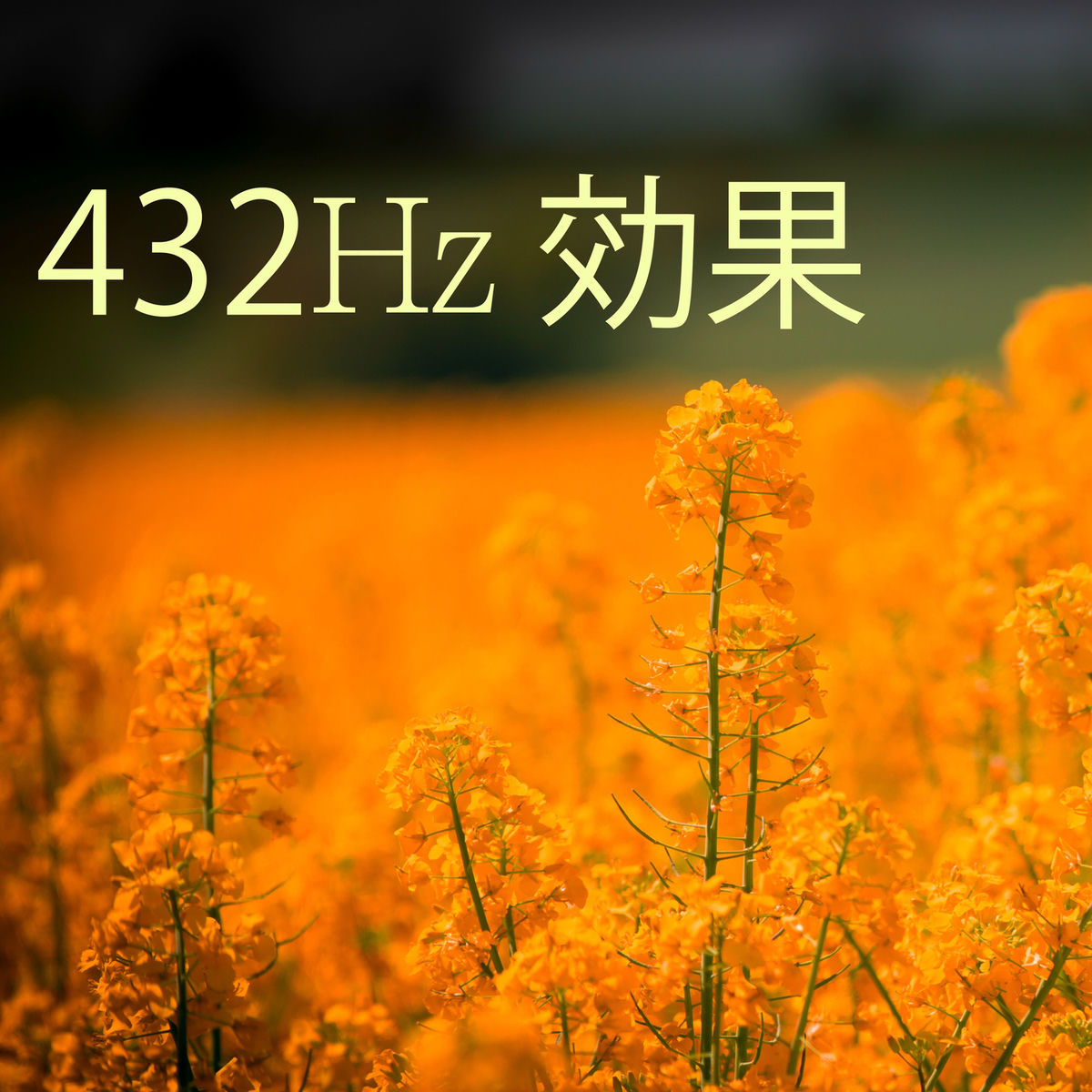 レア！プロモ盤PUSHIM 波が/ For Your Song レア！プロモ盤PUSHIM 波が/ For Your Song Say Greetings