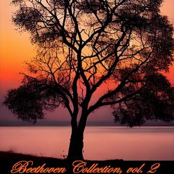 Cover of Collection of the Symphony n. 2 by Beethoven