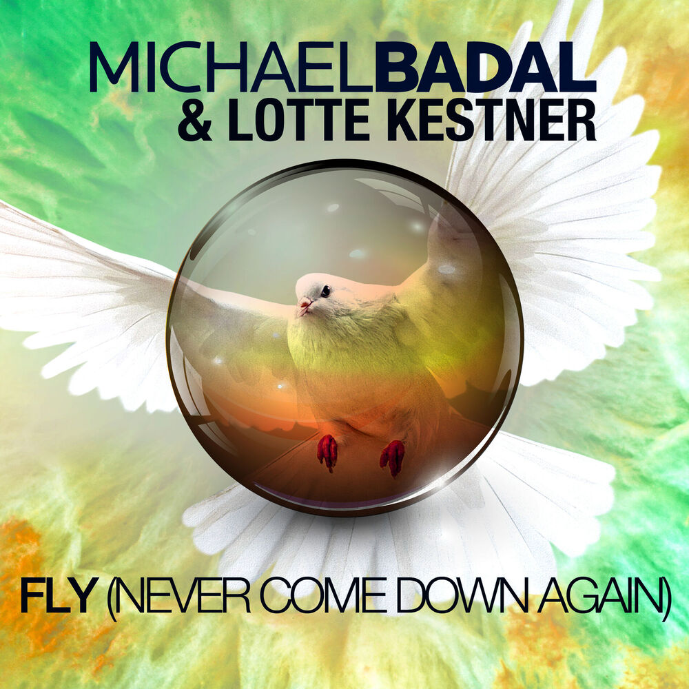 Picture of Fly (Never Come Down Again)