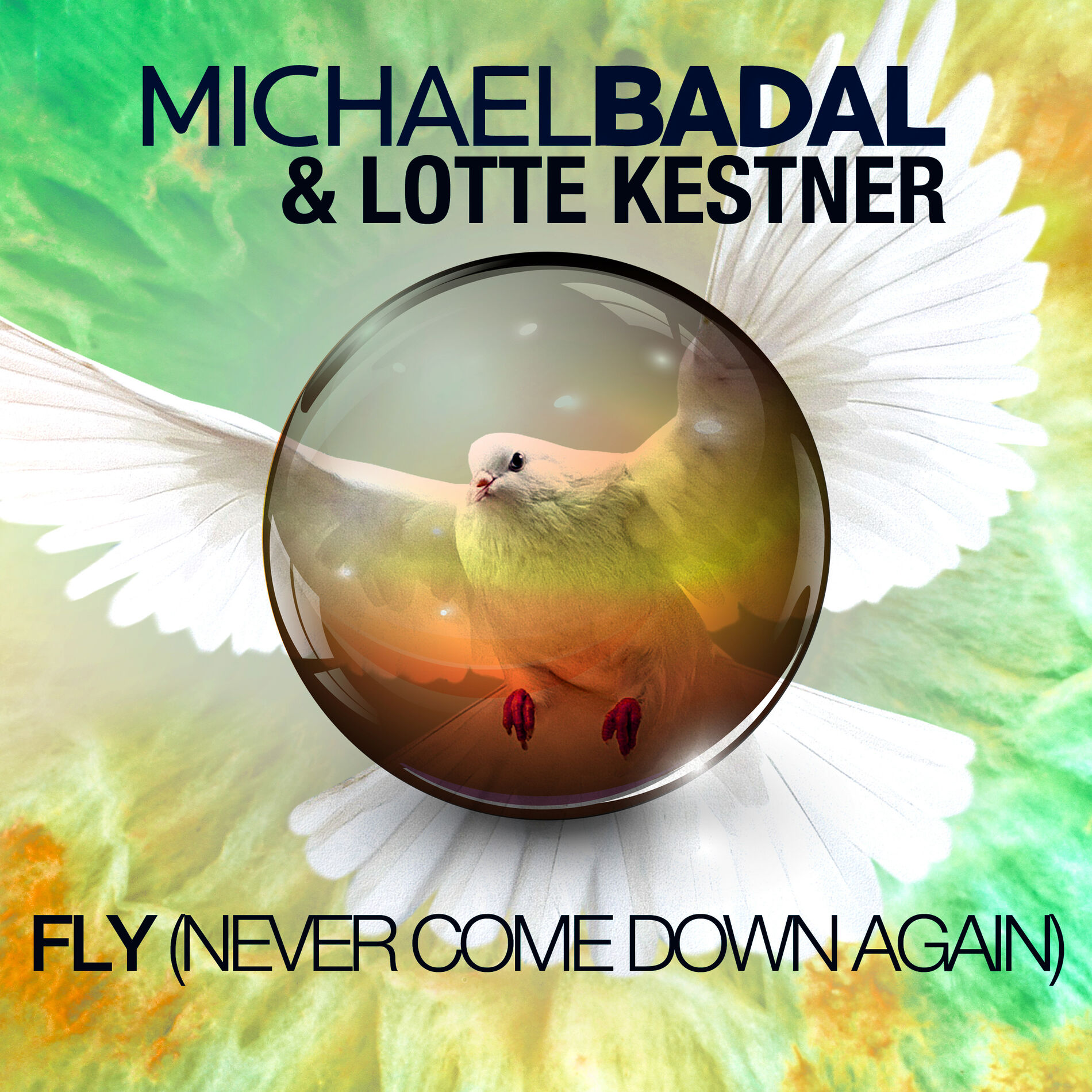 Album cover of Fly (Never Come Down Again)