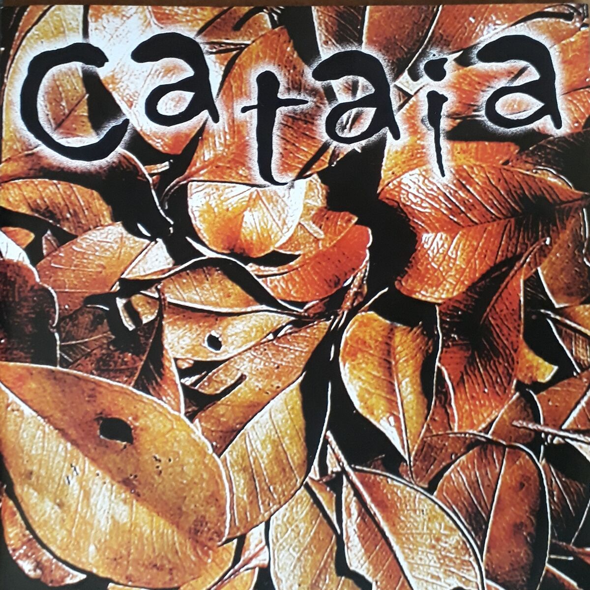 Album cover of Jabuticaba