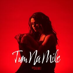 Cover of Tum Na Mile (From 2X Side B)