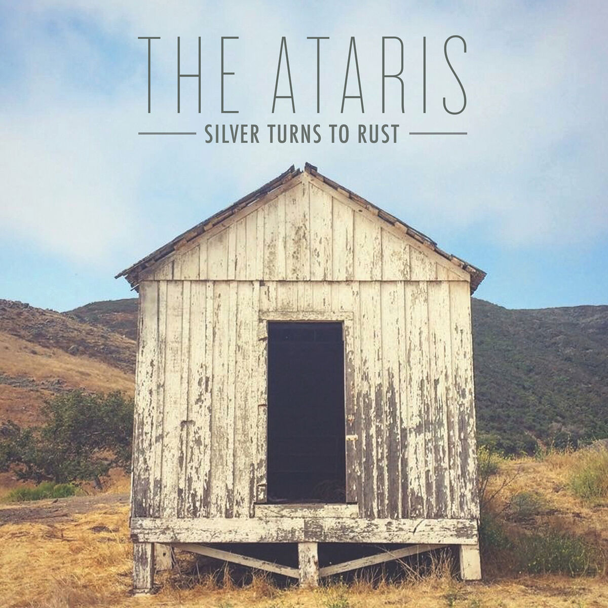 Album cover of Silver Turns to Rust