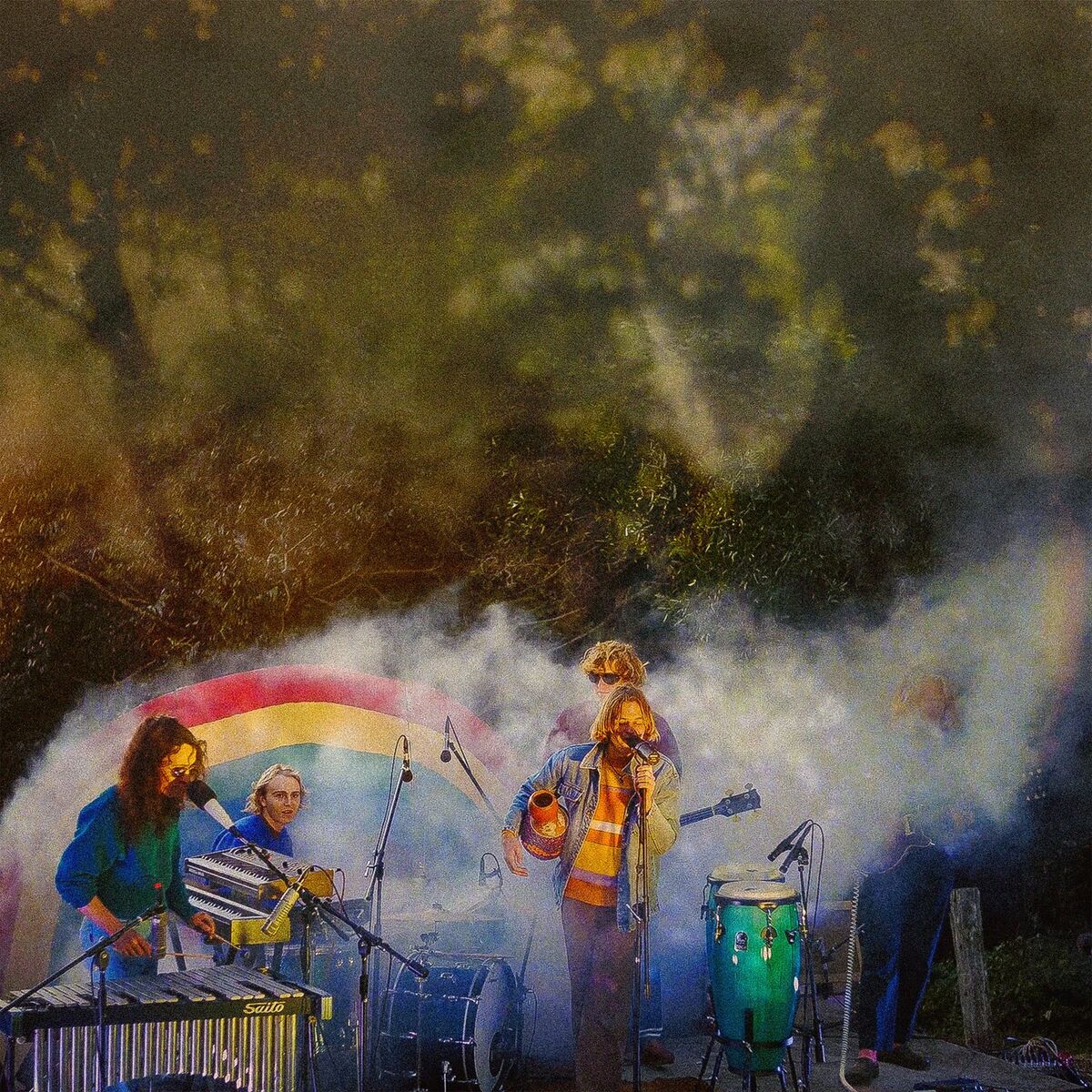 Album cover of Levitation Sessions (Live)