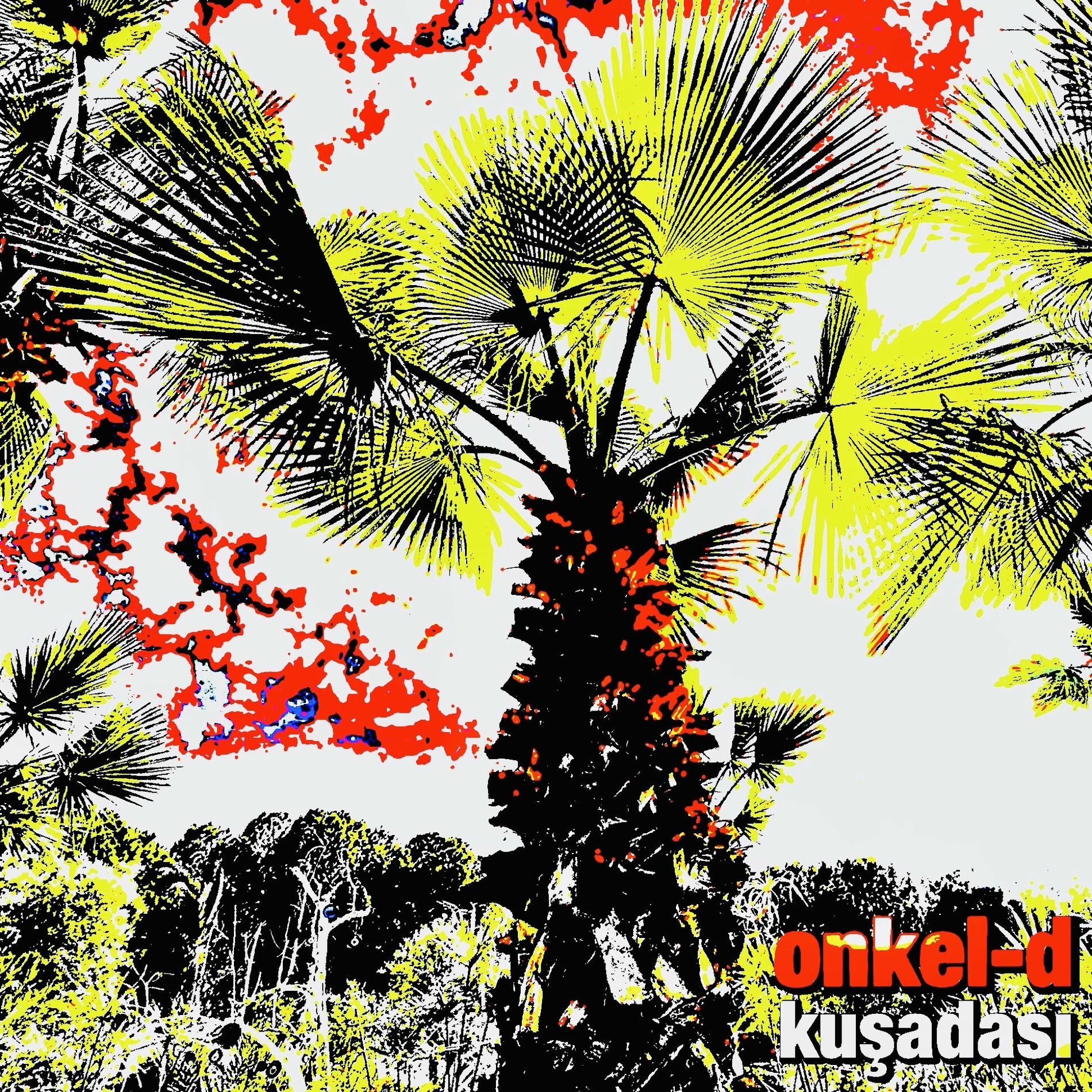 Album cover of Kuşadası