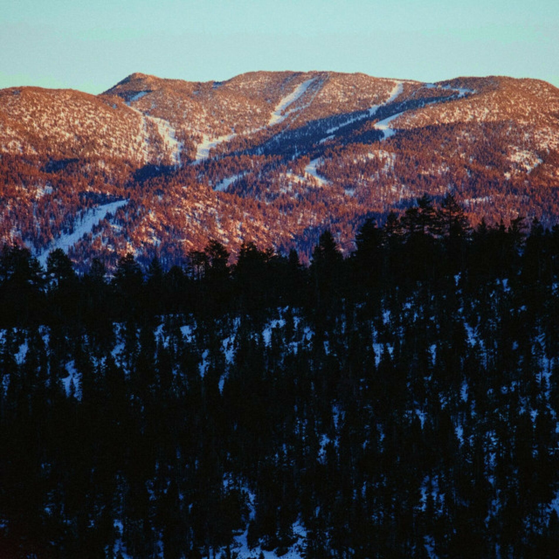 Album cover of Mary