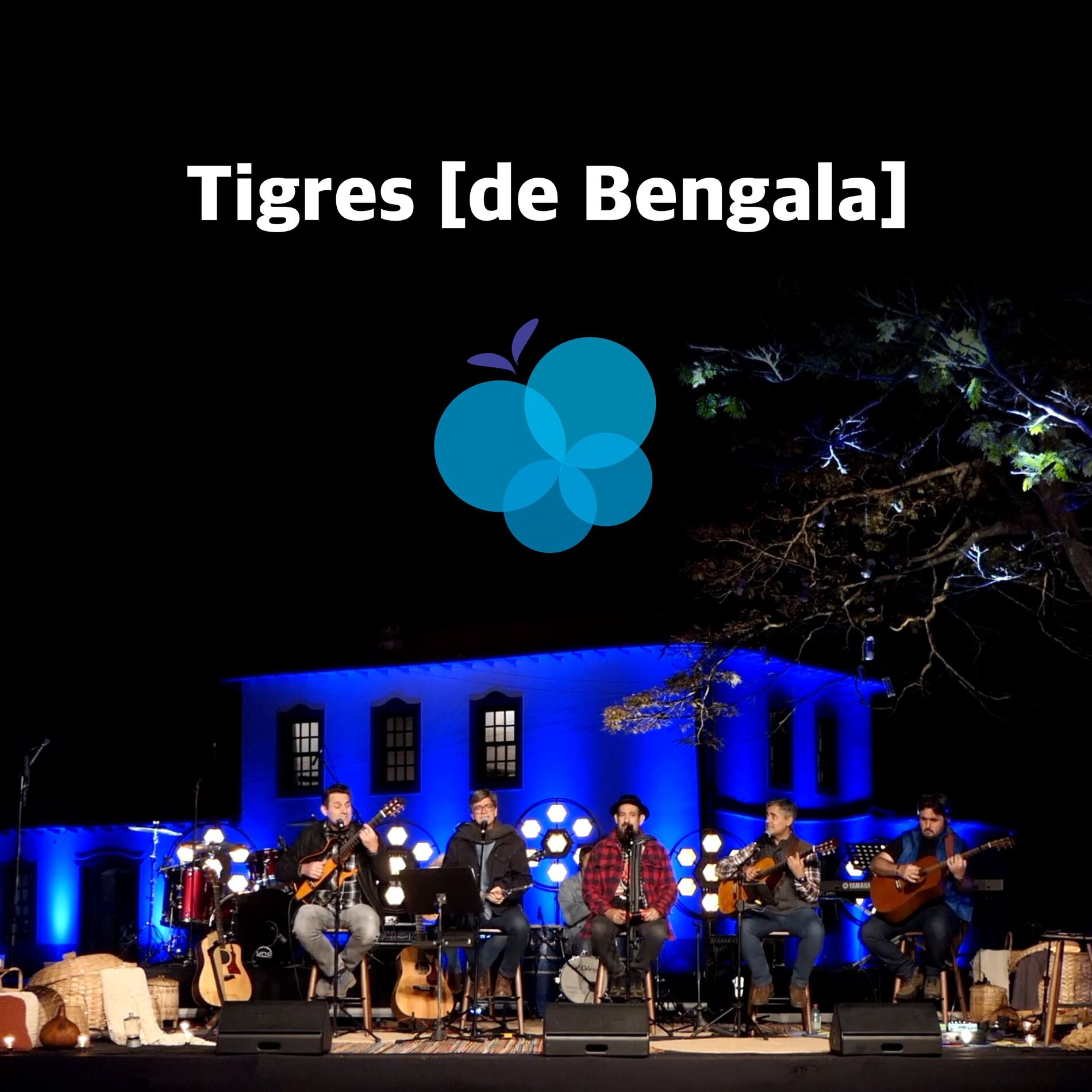 Album cover of Tigres de Bengala