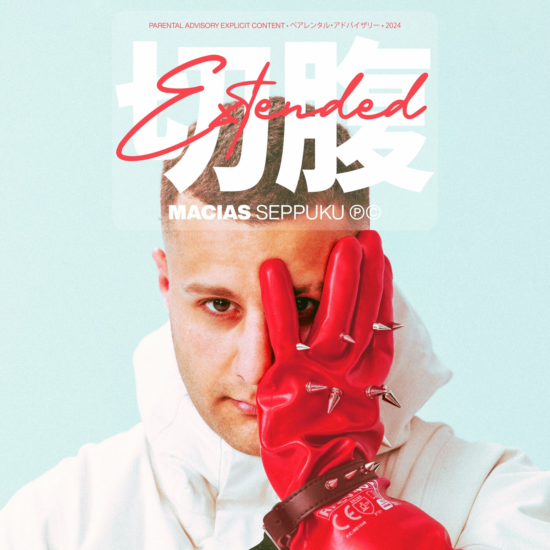 Album cover of SEPPUKU EXTENDED