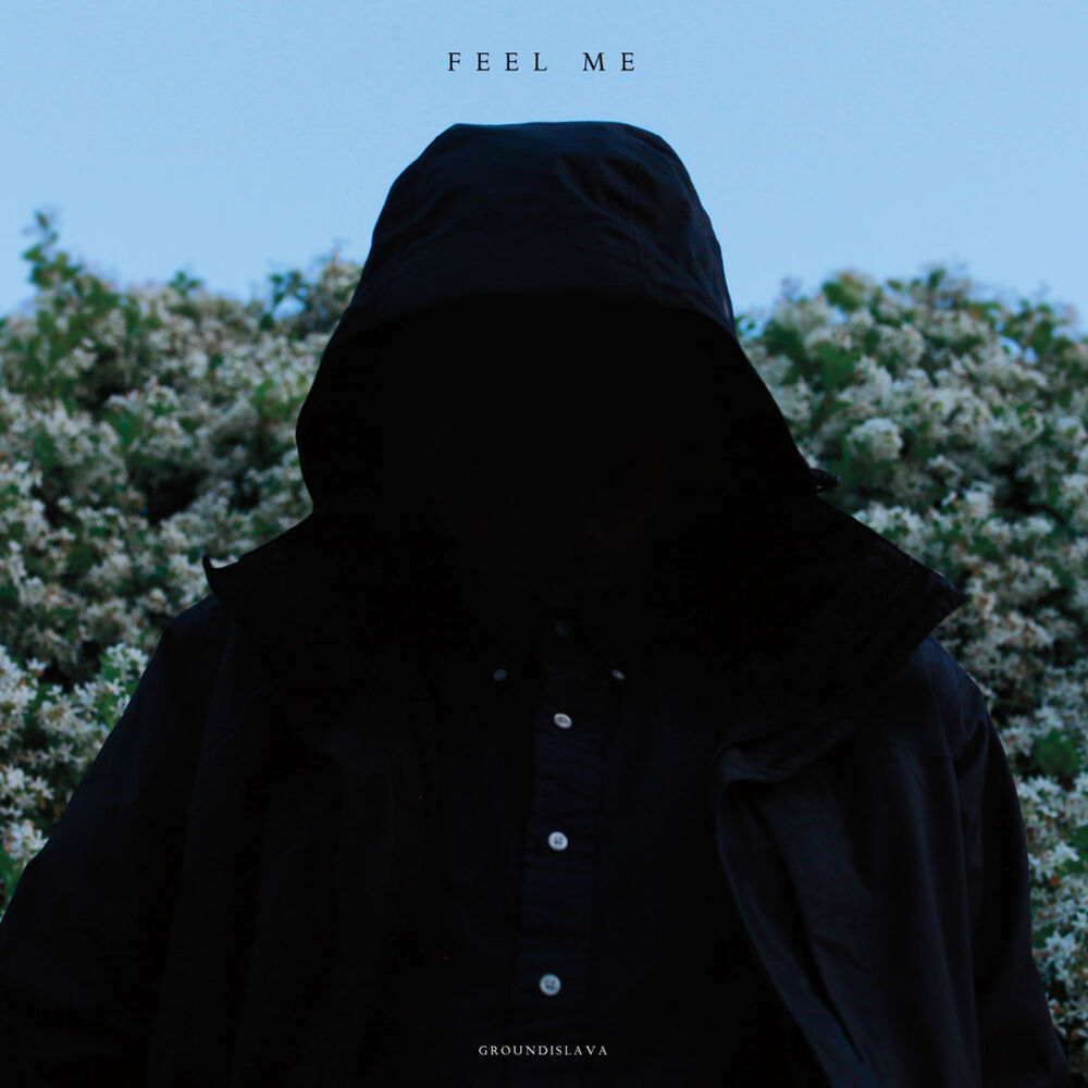 Picture of Feel Me