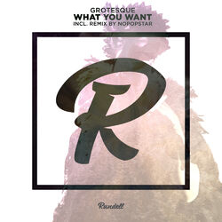 Cover of What You Want