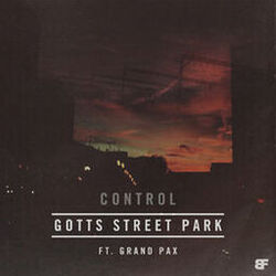 Cover of Control