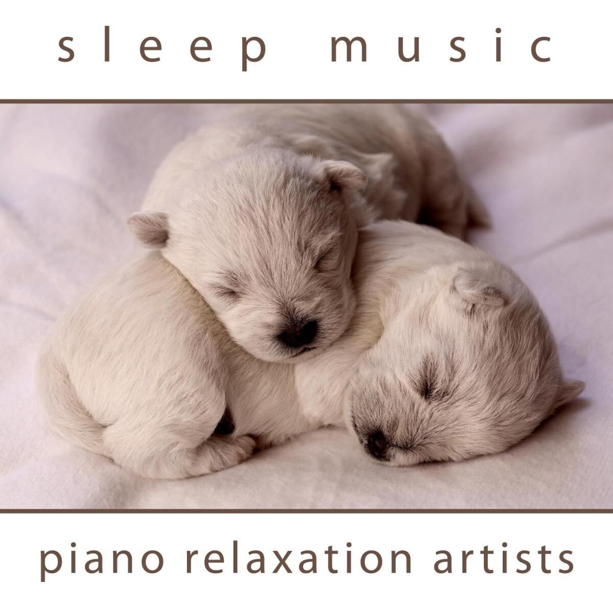 Album cover of Sleep Music