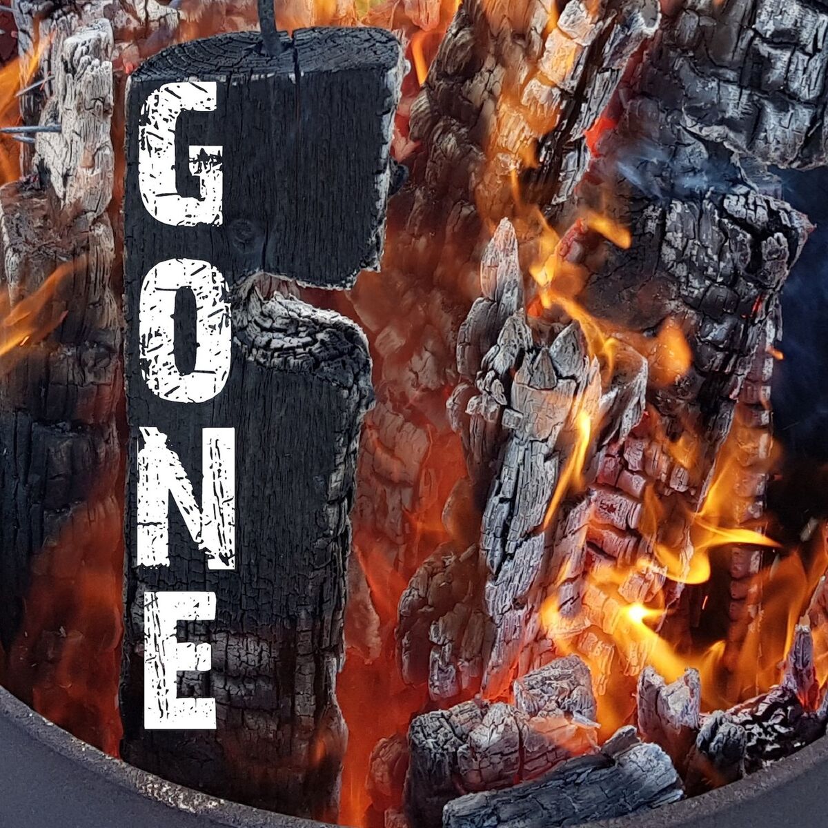 Album cover of Gone