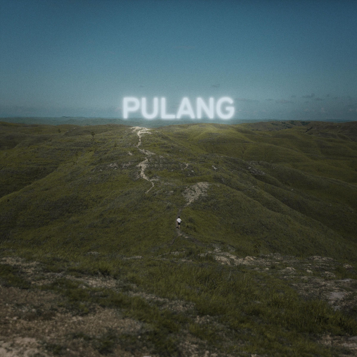 Album cover of Pulang