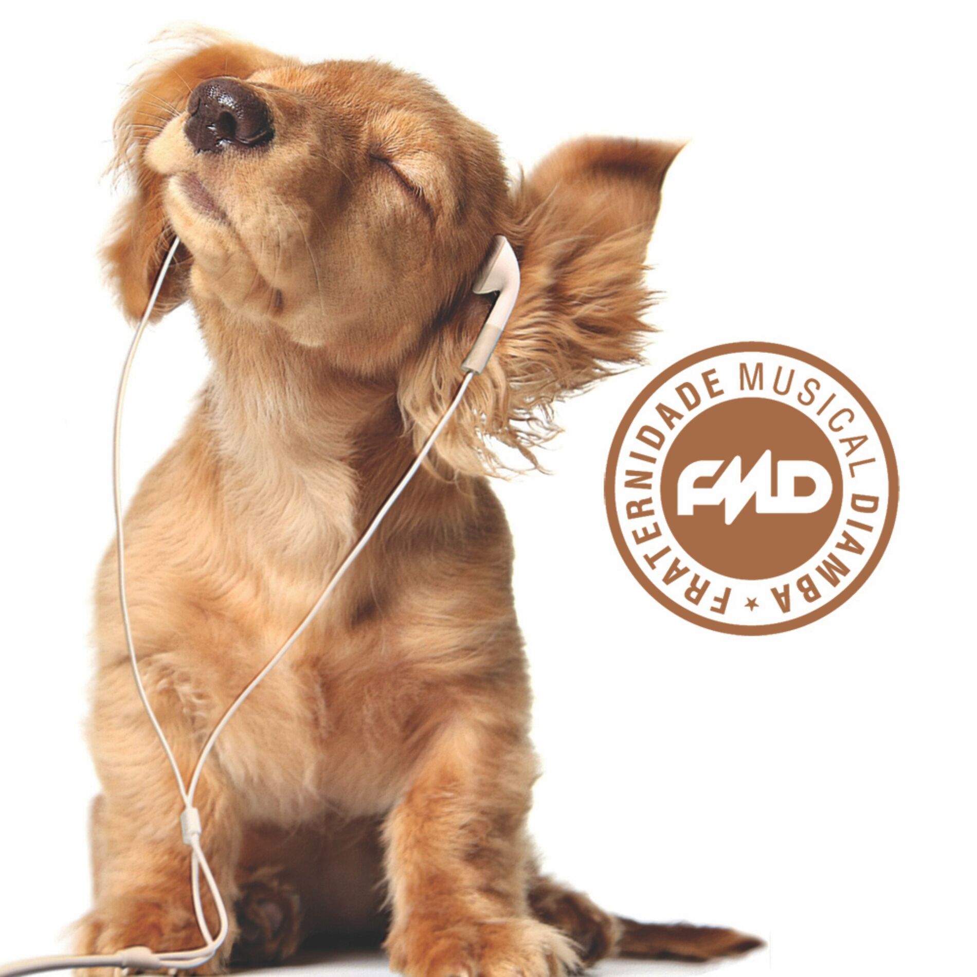 Album cover of Fraternidade Musical Diamba