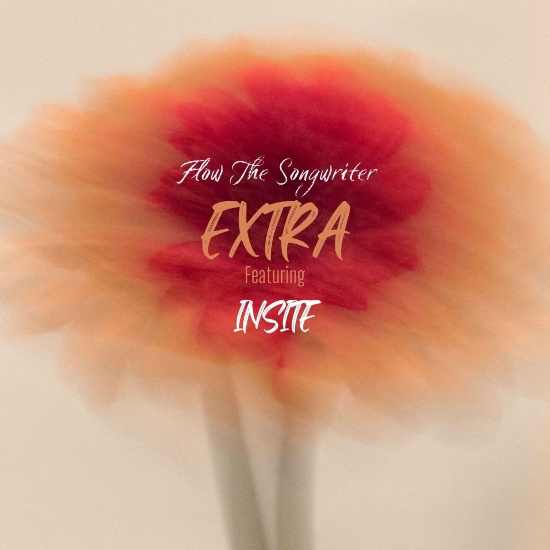 Album cover of Extra