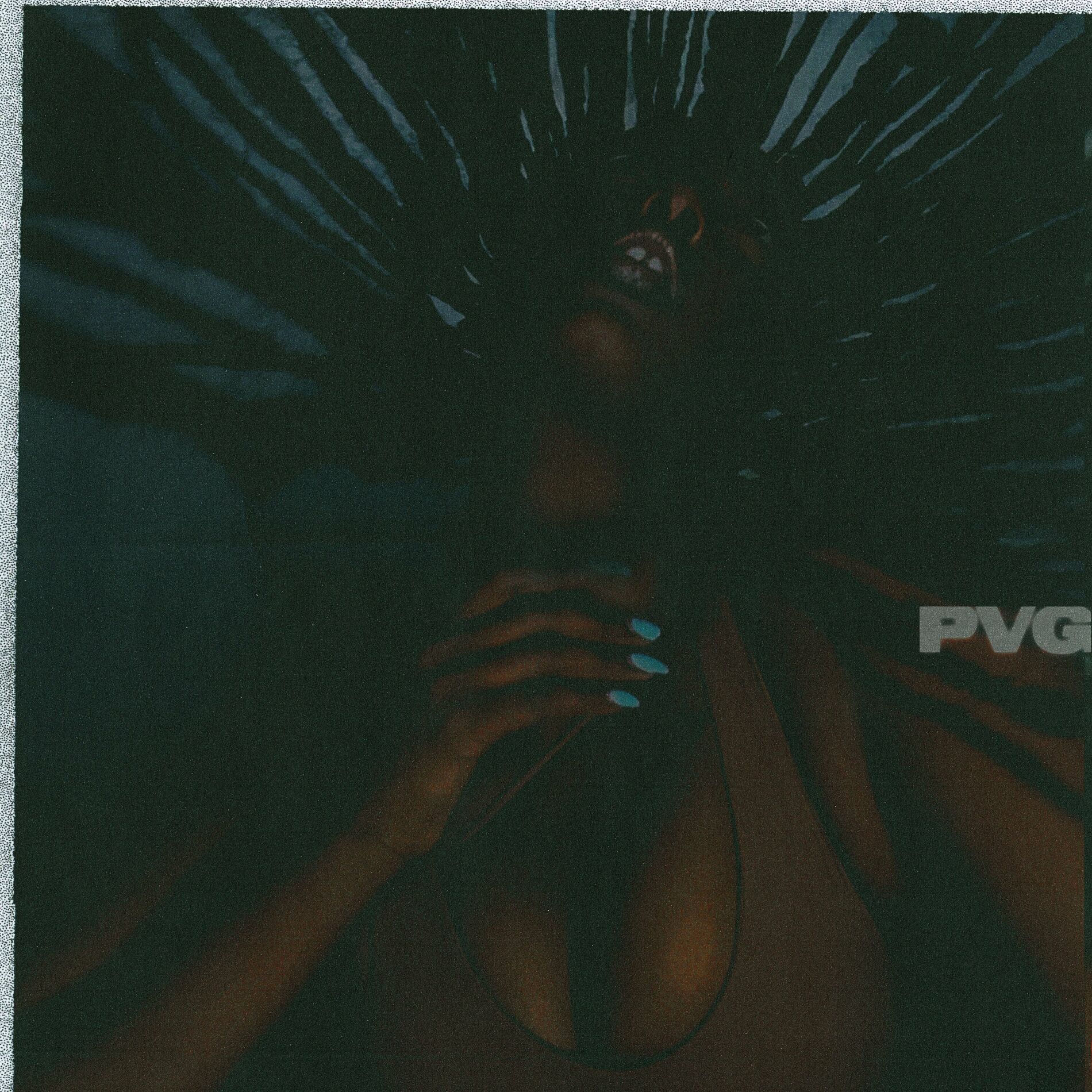 Album cover of pVg