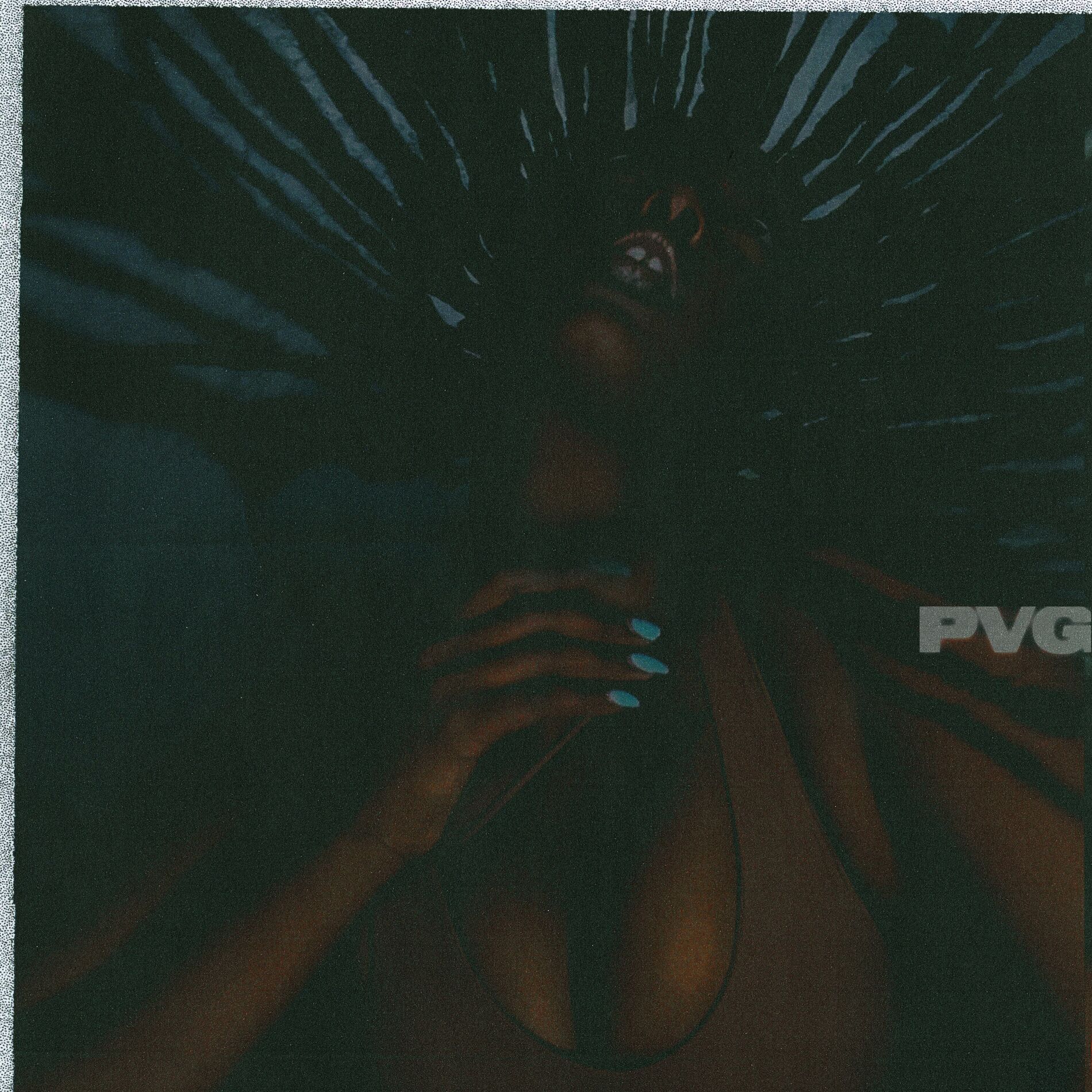 Album cover of pVg