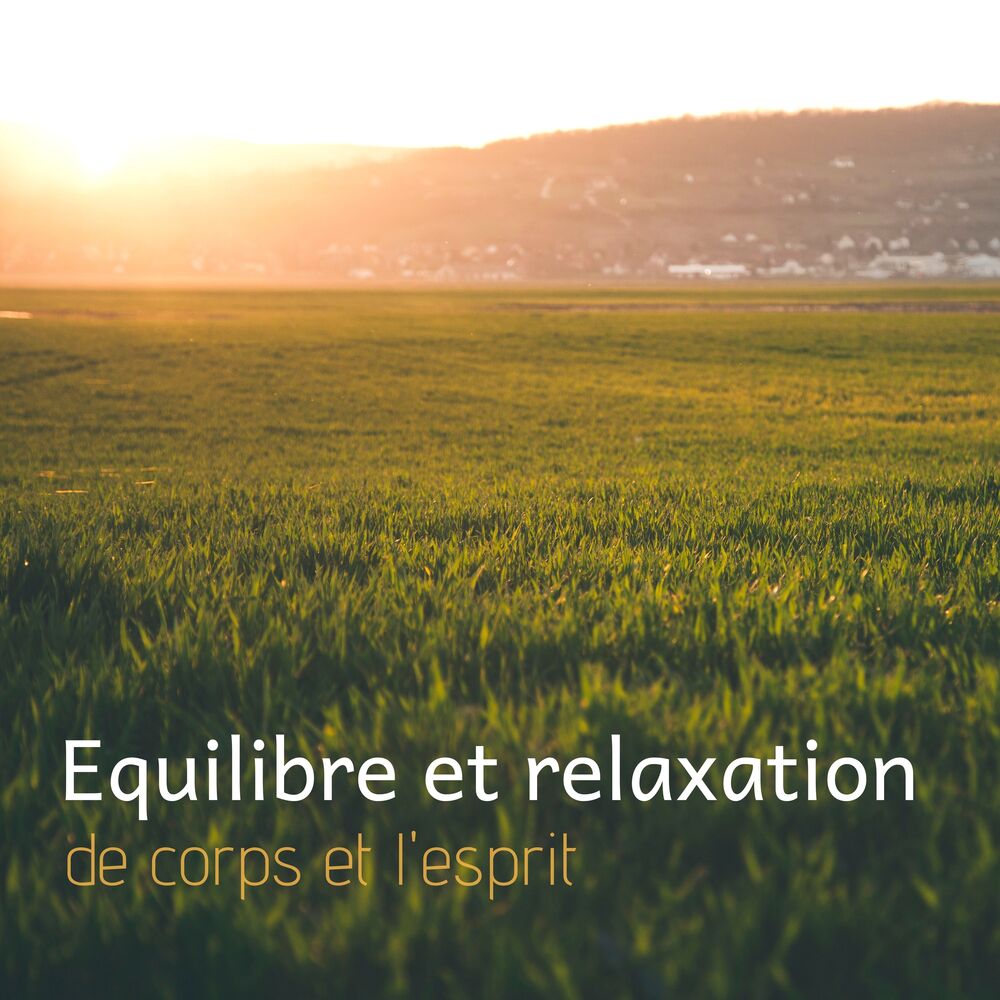 Picture of Equilibre et relaxation de corps et l'esprit - Musique apaisante pour dormir profondément