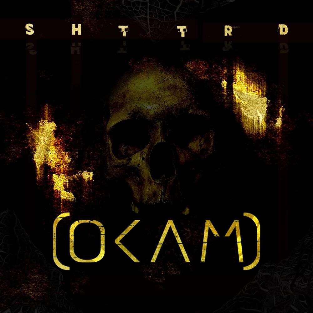 Picture of Shattered